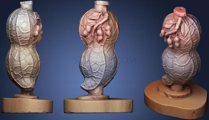 3D модель Арахисовый (STL)